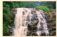 Mysore Falls