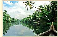 Backwater, Cochin