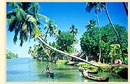 Backwater fo Kerala