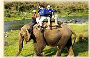 Elephant Safari, Bandhavagarh National Park