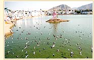 Pushkar Lake, Ajmer