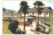 Windamere Darjeeling